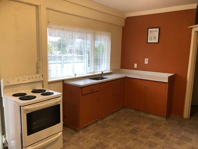 3/57b Joll Road 10484_3