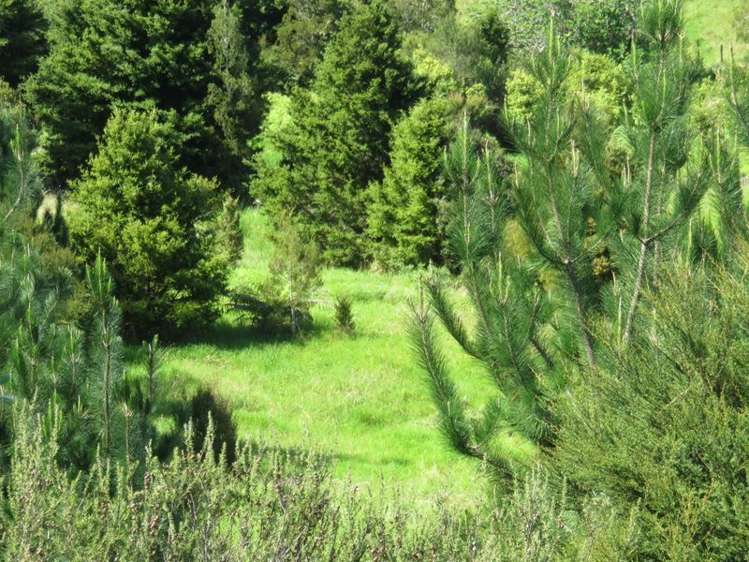 239 Taratara Road Kaeo_15