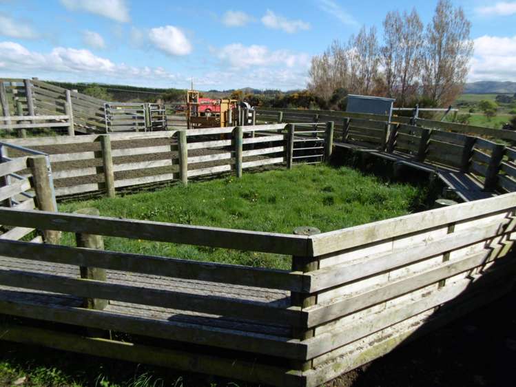 5326 Hampden-Palmerston Road Palmerston_19