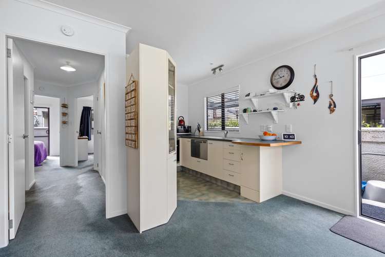 8e Heath Street Mount Maunganui_3