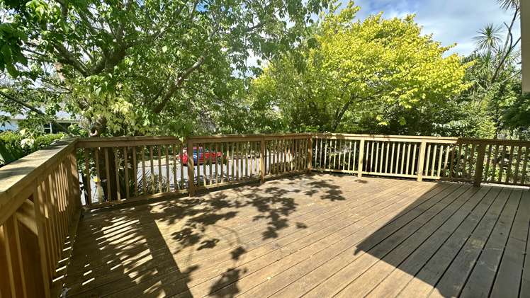 13 Lucinda Place Glen Eden_18