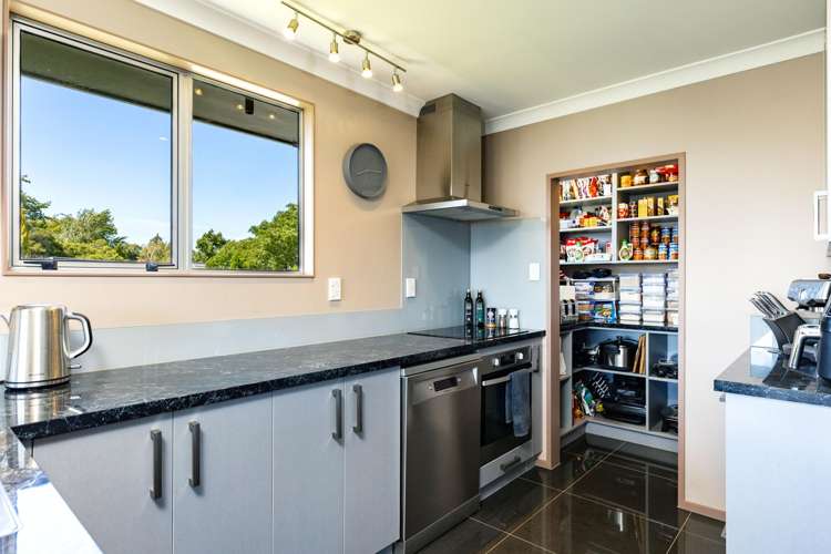 8A Colemans Road Springlands_18