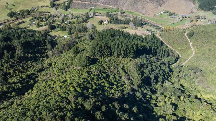 967 Aniseed Valley Road Aniseed Valley_17