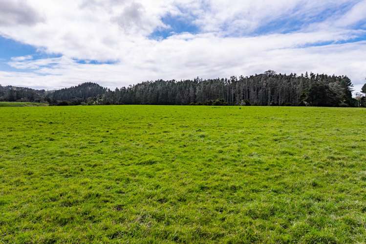 Lot 1 State Highway 12 Dargaville_8