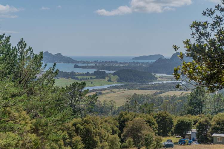 184 Hikuai Settlement Road Hikuai_5