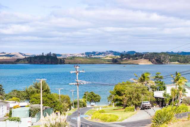 Oxford Street Whakapirau_2