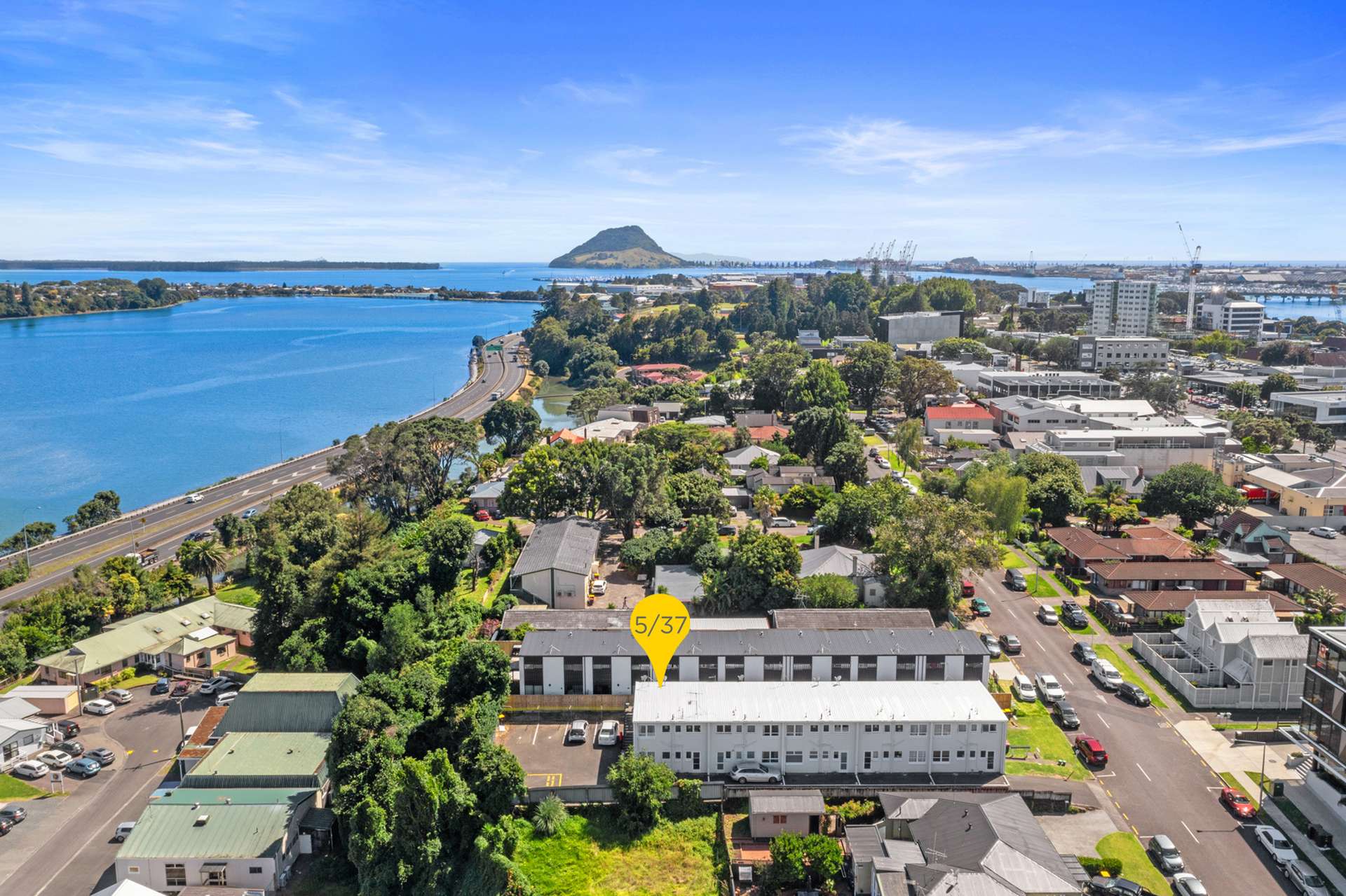 5/37 Selwyn Street Tauranga Central_0