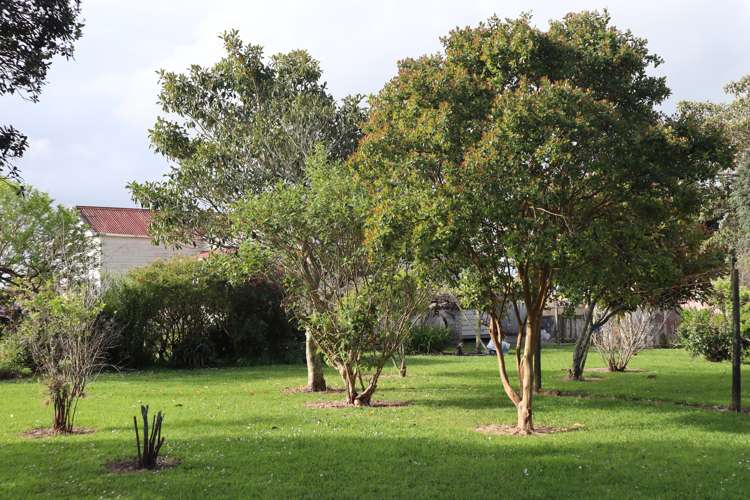 57 Pouto Road Dargaville_23