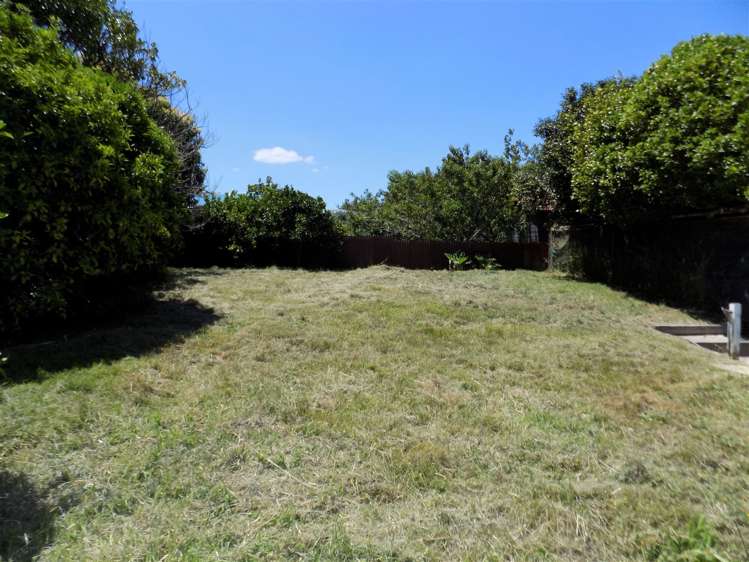 1a Toomey Street Waihi_8