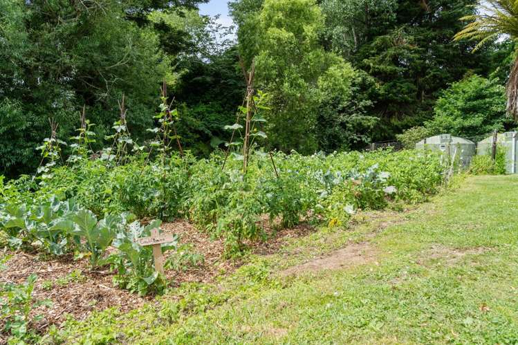 105A State Highway 30 Tikitere_47