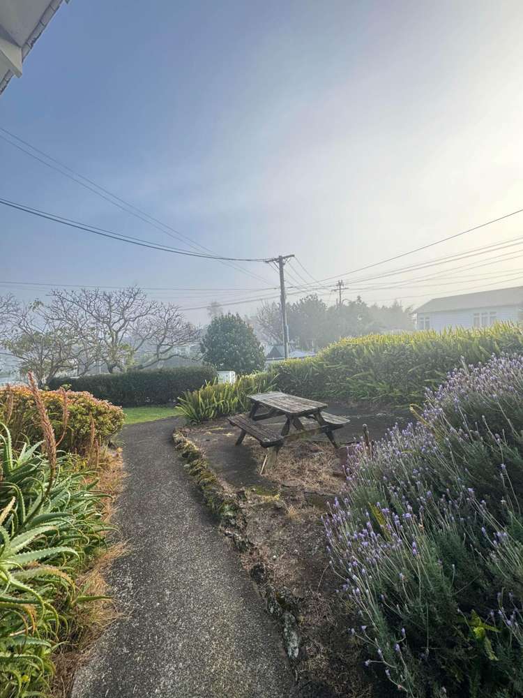 3/30 Brentwood Avenue Mt Eden_11