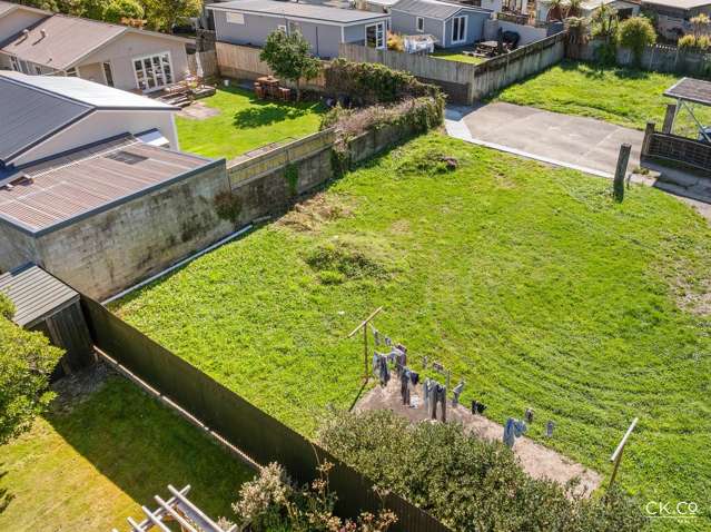 15B Black Beech Birchville_2