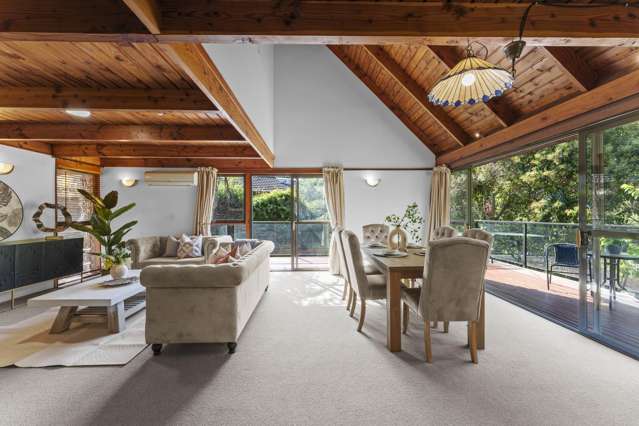 20 Montressor Place Howick_3