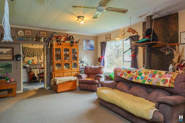 854 Nelson Creek Road Hochstetter_3