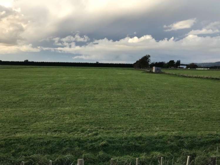 171 Tararua Road Levin_4