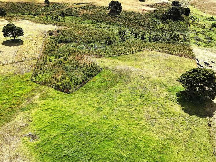 Parore West Road Dargaville Surrounds_12