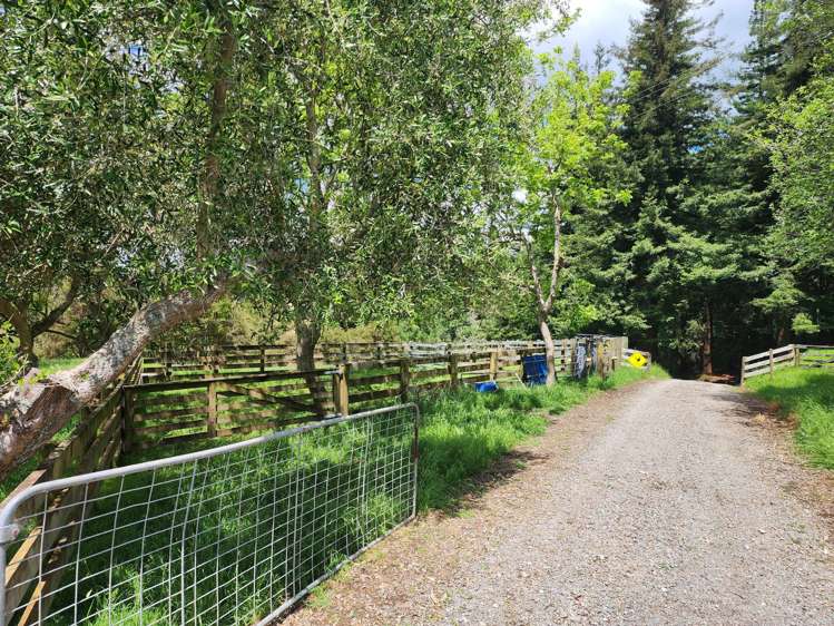 241 Work Road Aongatete_14