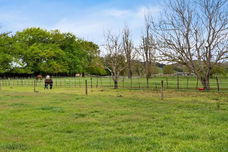 559 Raukawa Road Raukawa_22