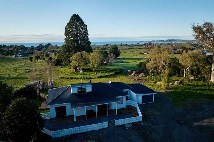 290 State Highway 1 Kaikoura_43