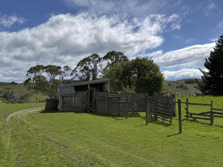 2207 Otautau Tuatapere Road Pukemaori_17