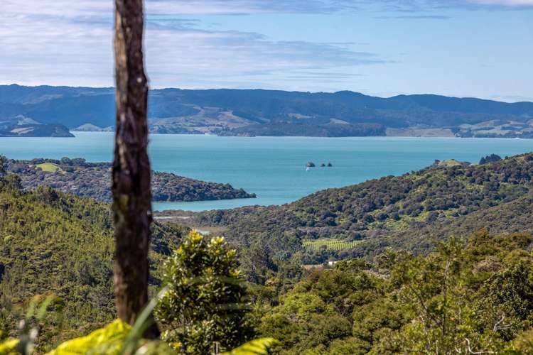 161 Orapiu Road Waiheke Island_13