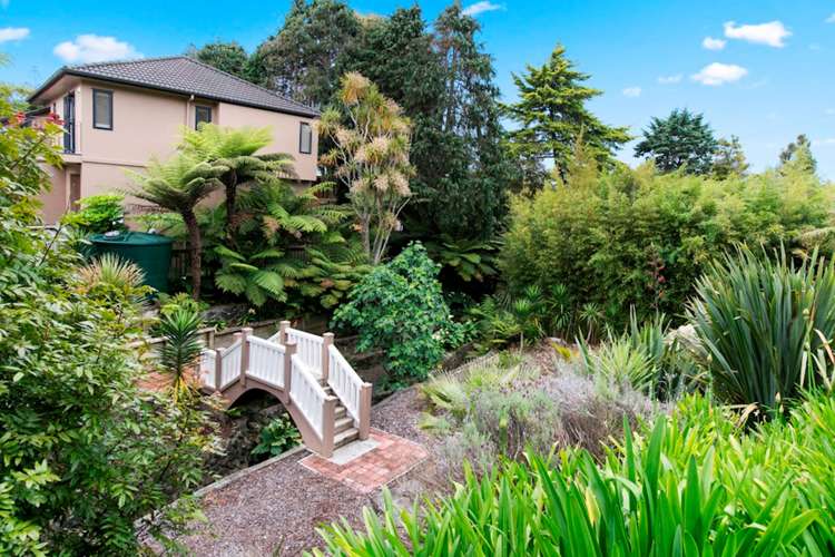 61 Saddleback Rise Murrays Bay_15