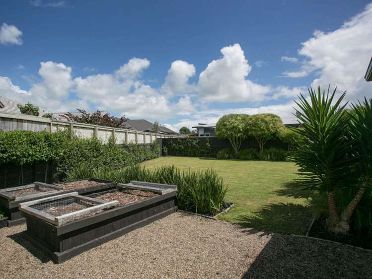 12 Madison Street Cambridge_10