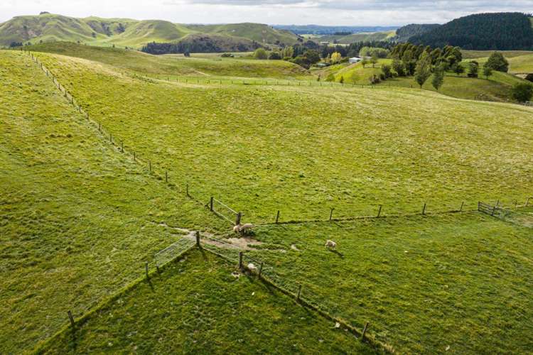 558 Crownthorpe-Settlement Road Crownthorpe_23