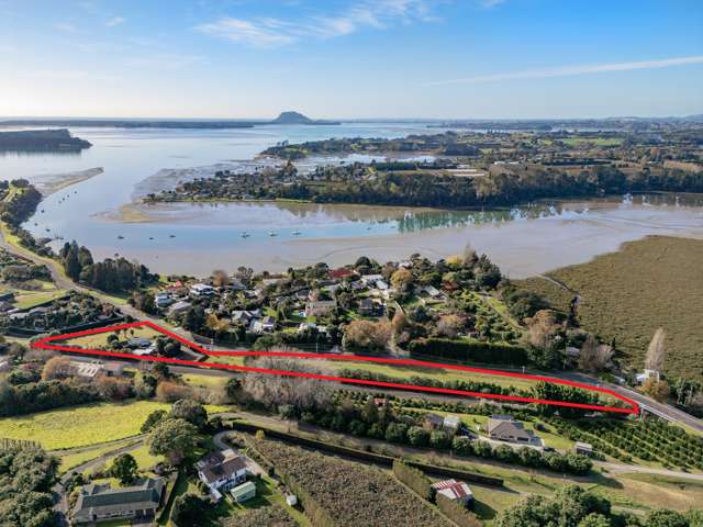 249 Plummers Point Road Whakamarama_2