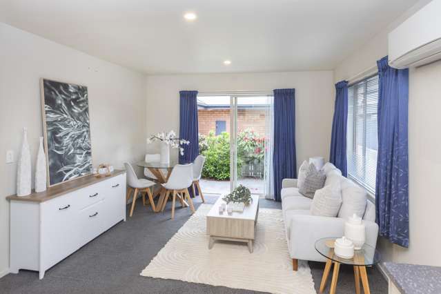 87a Stourbridge Street Spreydon_2