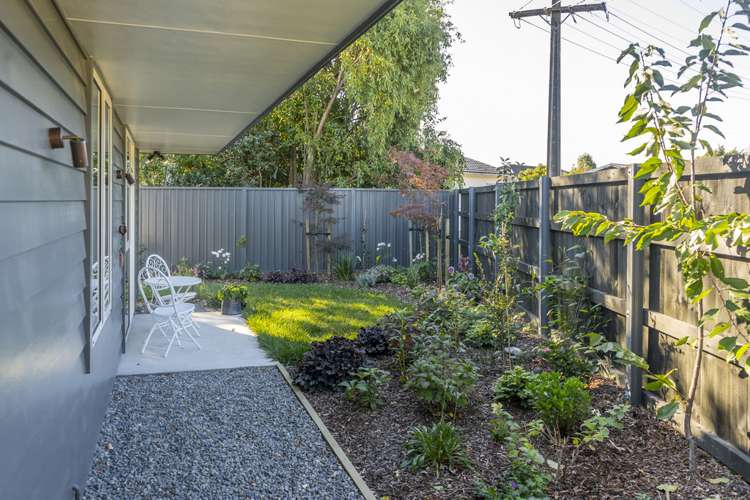 21 John Mcdonald Mews Masterton_19