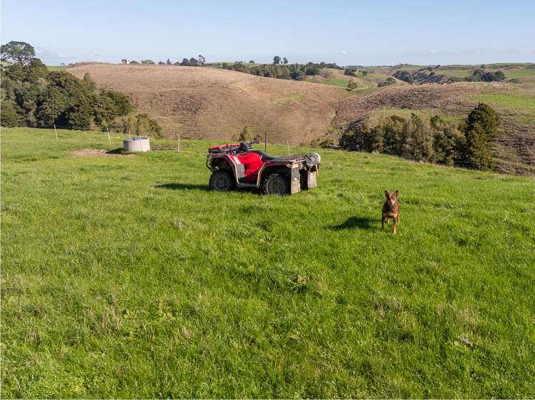 485 Chapman Road Pukekawa_33