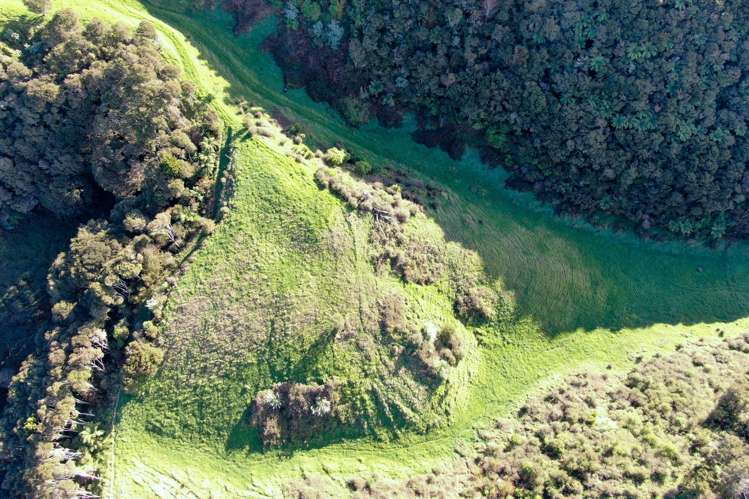 Maniatutu Road Pongakawa_15