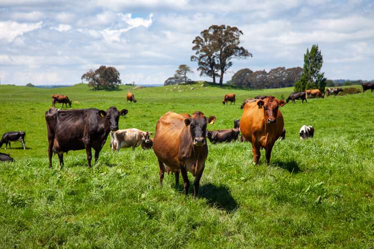 3069 Old Taupo Road Tokoroa_17