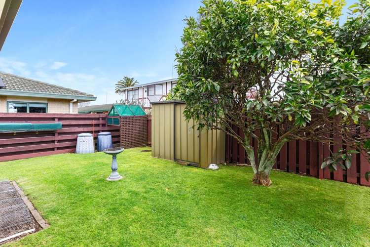 115b Grace Road Tauranga South_22