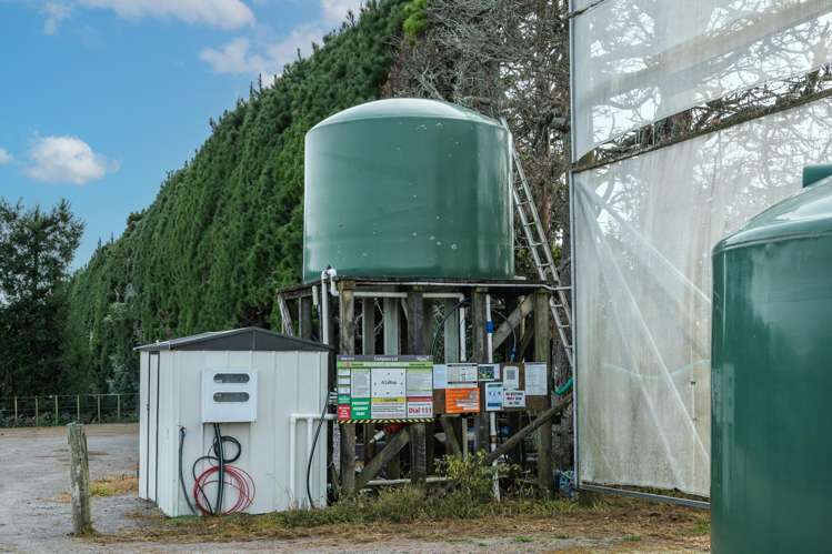 865B Oropi Road Oropi_19