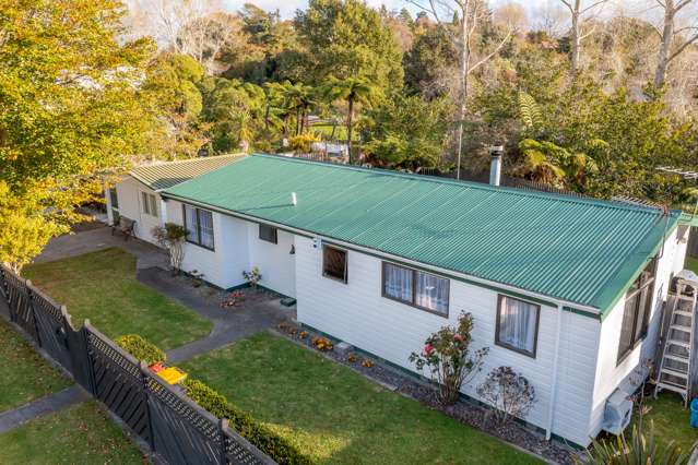 12 Heaphy Street Westown_4