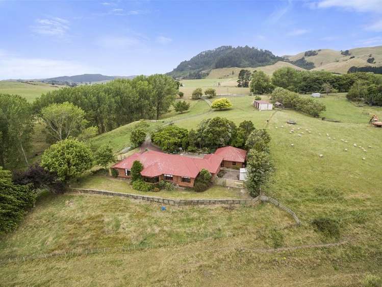 178 Beer Road Tauwhare_18