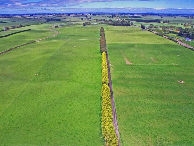 839 Grove Bush Woodlands Road Winton Surrounds_5