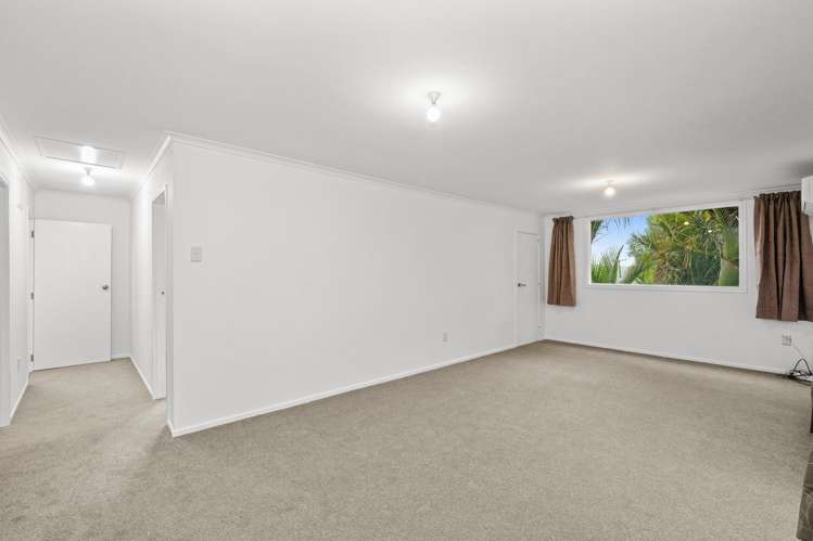 Address withheld Tolaga Bay_13