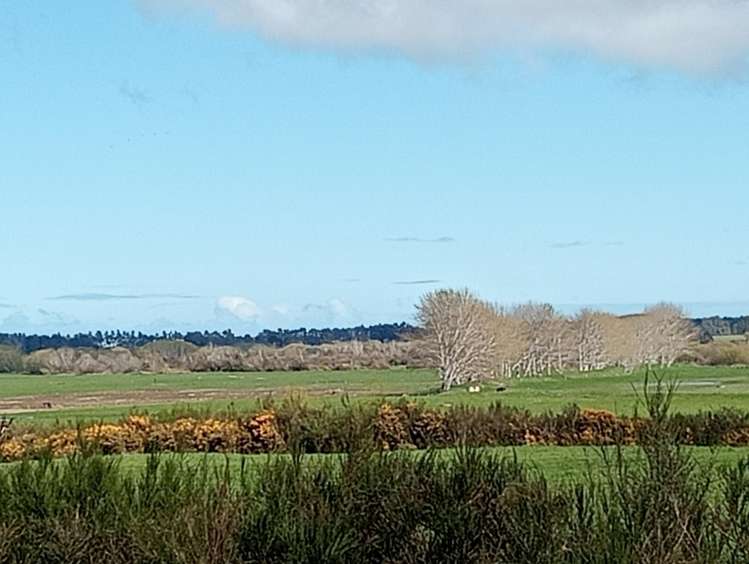 1831 Tuatapere Orepuki Highway_3