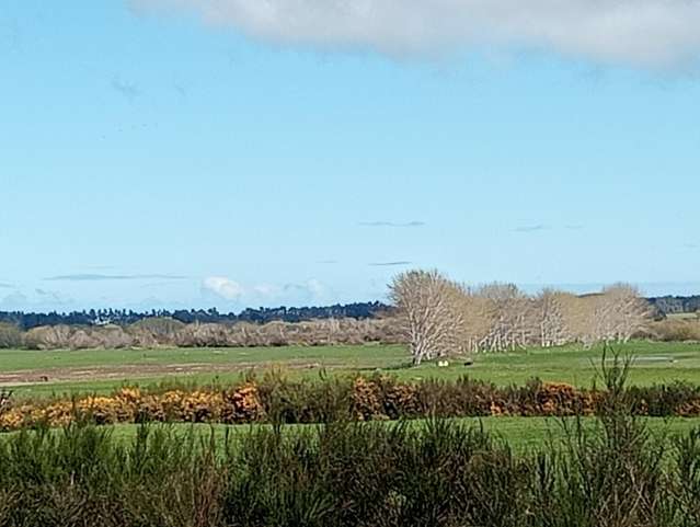 1831 Tuatapere Orepuki Highway Tuatapere_3