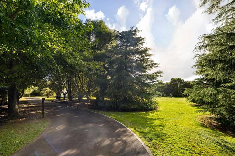 63 Butcher Road Matangi_34