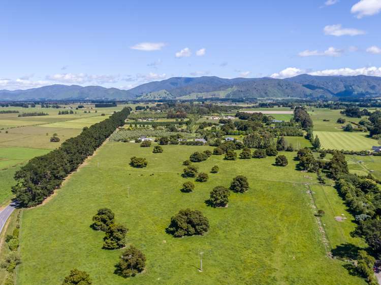 Humphries Street Greytown_8