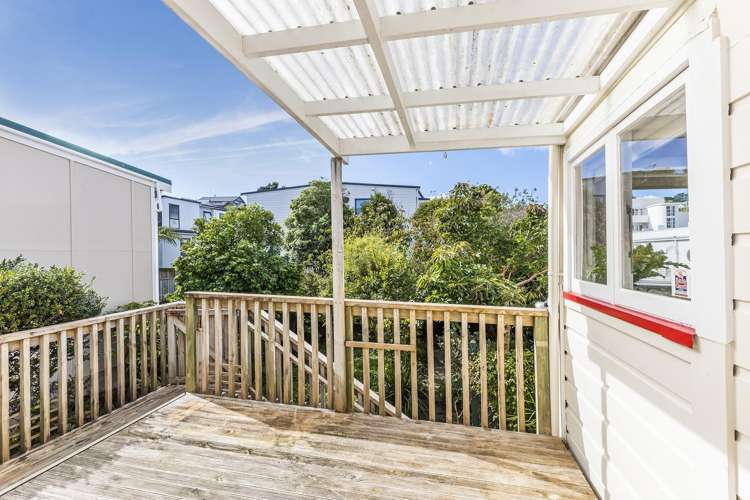491 Adelaide Road Berhampore_17