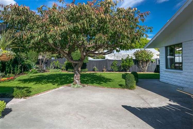 17 Mountain View Road Witherlea_25