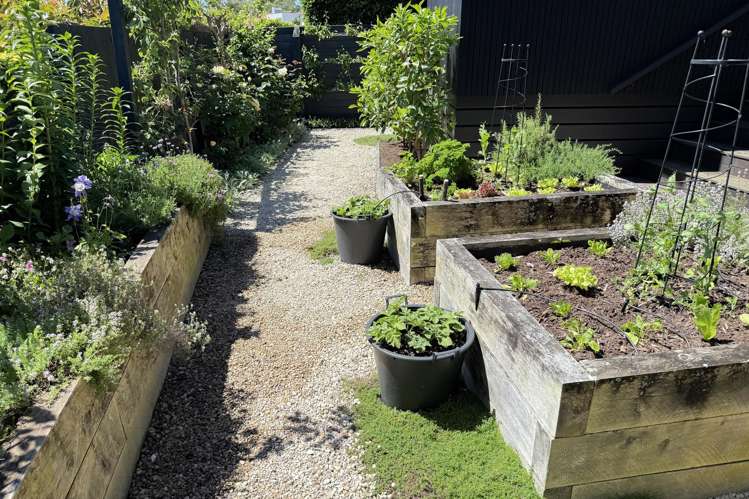 150A Coates Avenue Orakei_21