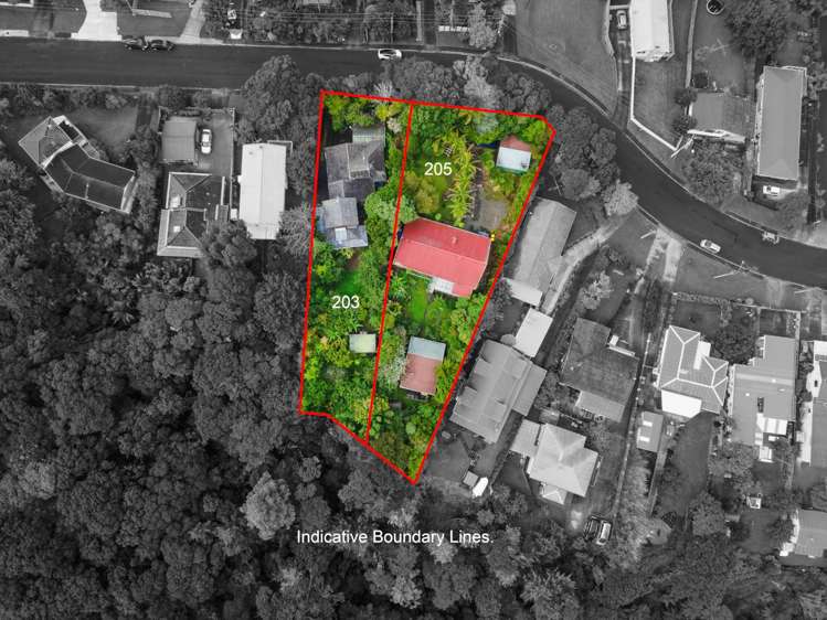 203 & 205 Manuka Road_1