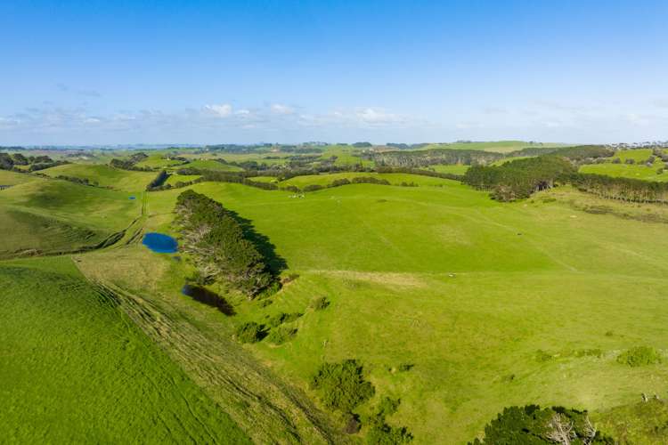 386 Rehutai Road Dargaville Surrounds_10