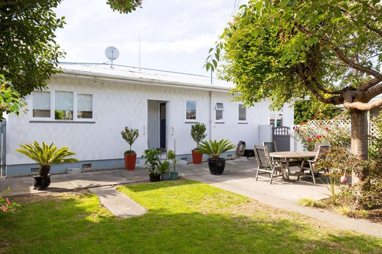 263 Kennedy Road Onekawa_15